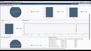aidev mongoDB monitoring plugin for Oracle EM: reporting