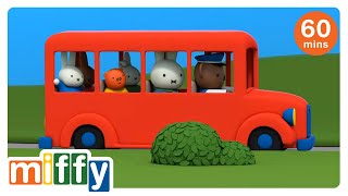 Miffy's school trip | Miffy | Cartoons for kids