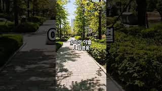 #0시의이별 #임영웅 #인기가요 #추천곡 #노래 #7080 #나무 #산책