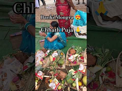 Chhath Puja 🙏Banki Mongra 😍#chhathpuja #bharibhari #korba #ntpc #song #tranding #2024