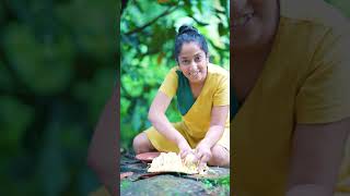 Yummy 😋 Masala Jackfruit Cutting And Eating | कटहल  | පැණි වරකා