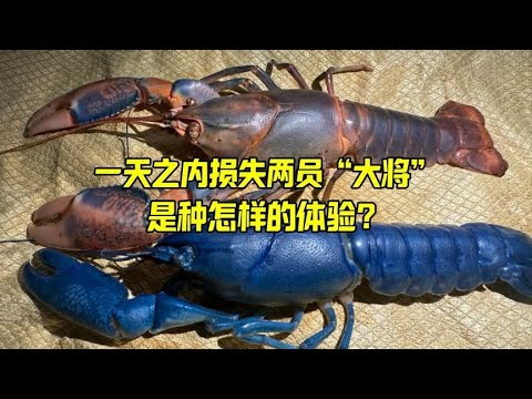 一天之内损失两员大将，是种怎样的体验？