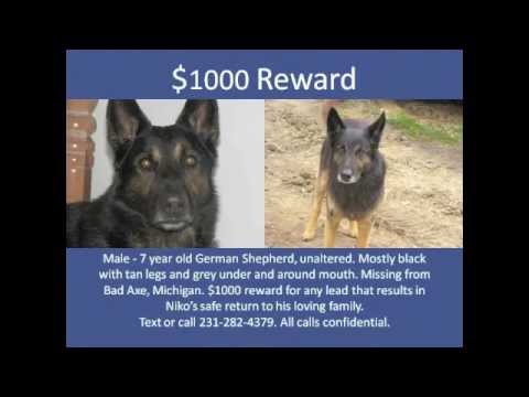 Zoe on the Go-Lost in Michigan