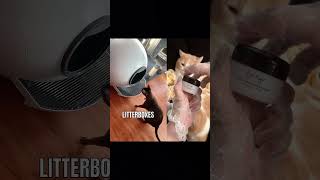#catfails  #cat #funnycats  #petfails  #cute #catfailcompilation #petfail  #funnypetsmoments  #funny