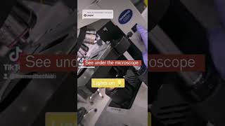 Pepsi under the microscope #fyp #medtech #laboratory #mls #foryou #pepsi #microscope #themedtechlab