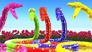 Learn  With Python Finger Family  Song For Childrens ||3D Animation Finger Family For Collection