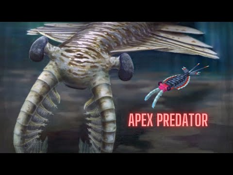 The first APEX predators of the Ocean (Minecraft PN Cambrian radiodonts showcase)