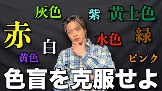 【本気】遂にやまとが持病の色盲を克服する為に動き出しました