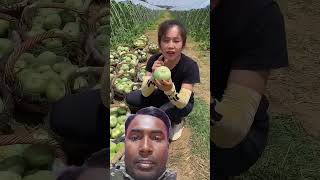 Pali house fruit farmer #fruit #satisfying #fruitcutting #fresh #cuelin #reels#agriculture #