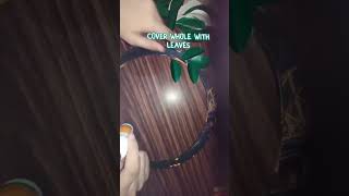 Making paper wreath for Christmas|#merrychristmas |#paperwreath |#easydiys |#christmasdecor|#wreath