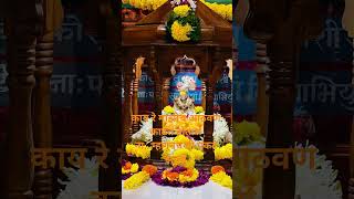 shree Swami Samarth 🙏🌻 gurudev datta 🙏 #motivation #dattaguru #gurudev #nityaseva #swami #gurudevdat