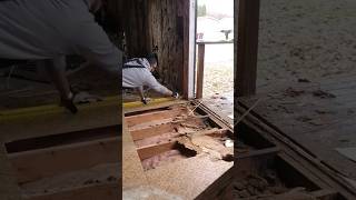 replacing rotted front door entrance subfloor #homeimprovement #mobilehome #mobilehomerenovation