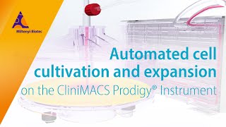 Cell cultivation and expansion on the CliniMACS Prodigy®