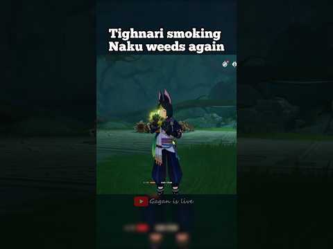 Tighnari smoking Naku weeds again 🔥 #viral #genshinimpact #trendingshorts #hoyocreators