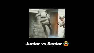 #juniorvssenior