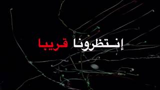 GTC Academy | Certified Forex Courses | English & Arabic