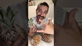Pineapple Peel Magic | creative explained