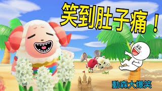 絕無冷場的動森爆笑精華，笑到肚子痛！- 一起來耍蠢 動物森友會