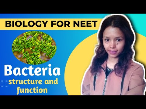 Bacteria || Definition, Structure, Functions || #neet || Lt || Lecturer || biology