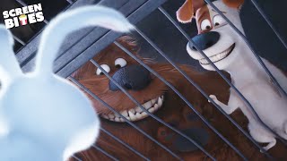 Rescued By Snowball and the Abandoned Animals | The Secret Life Of Pets (2016) | Screen Bites