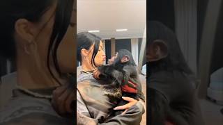 This girl became friends with a baby monkey 👏