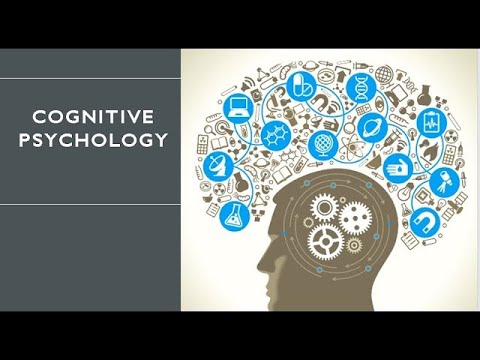 COGNITIVE PSYCHOLOGY: BSP 2-2_ ANIMAL TRAINING PROJECT