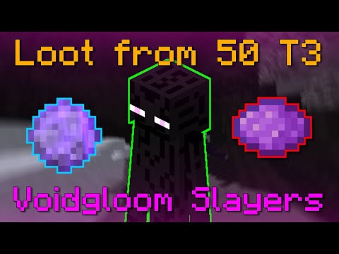 Loot from 50 T3 Voidgloom Slayers (Hypixel Skyblock)