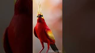 AI bird art creation #simulator #simulater #slowedandreverb 💗💯🥹