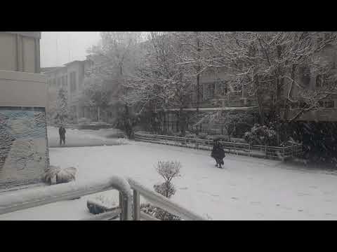 @  وي کابل بي زر باشه خو بي برف ني "Dancing in the Snow: A Magical Winter Experience"