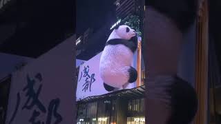 How adorable! Isn't the 3D effect really quit realistic? #creative #led #curve #3D video wall