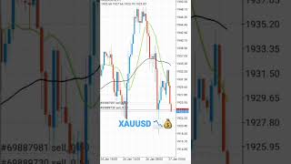 XAUUSD SELL 💰📉 #forextrading #forexmarket #xauusd #forex #xm  #technicalanalysis #fx #fxtrading