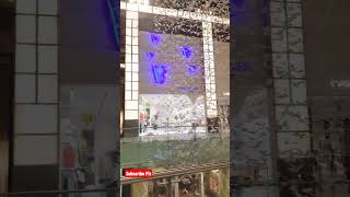 Incredible Dubai Mall Trip#shorts #dubaimall #ytshorts #dubai #viral #short #dubaitrip #viralvideo