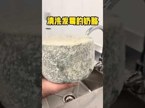 为什么要清洗这些长满霉菌的奶酪？ #有趣 #霉菌 #奶酪 #全球看点