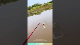 Quick fishing tip: Use rat traps to catch fish fast! #fishing  #funny  #tips