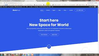 Overview | Bluishost - Responsive Web Hosting with WHMCS Themes