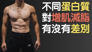 蛋白質有沒有高低之分？五種常見健身優質蛋白質來源
