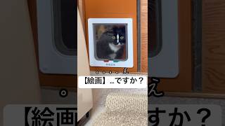 もはや日課になりつつあるぶんちのコレww #routines