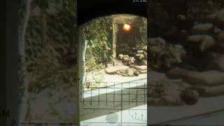 💥 Wiped their whole base #ArmaReforger #gaming  #MilSim #TacticalShooter #SquadWipe #GamingClip #FPS