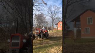 Safe Tree Felling Tips 😅😇 Beautiful Tractors #tractor #forestfarming #farming #woodworking