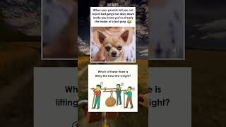 Dank memes 😂 #memes #funny #funnymemes #daliymemes #relatable #dankmemes #amazingmemes #shorts