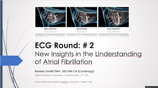 ECG READING ROUND # 2