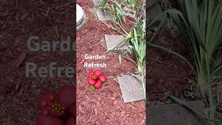 GARDEN REFRESH BACKYARD REDO HOME DEPOT GARDENING WATER CAN BEGONIAS REVAMP #homedepot #gardencenter