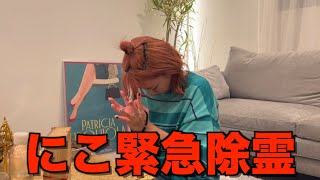 【過去最恐】平成フラミンゴにこに付き纏う白い足の正体が衝撃的だった...