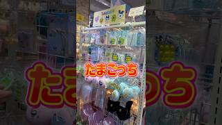 【サンキューマート】たまごっち新作が可愛すぎた🫠🫶#サンキューマート #たまごっち #コラボ #開封動画 #商品紹介 #おすすめ
