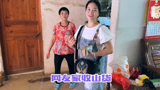 上次收藠头视频发出后，收到附近网友的留言，家里挖有几十斤野山货，秋子亲自上门收购