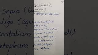 Examples of mollusca#phylum mollusca#mollusca#neet#up#cbse.