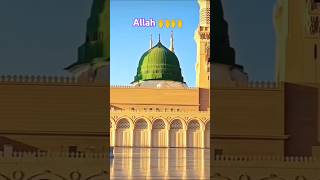 My love blogging channel #aala_hazrat #Allah Hu Akbar #dargah #sharif #haqooq #imamqasim #qazi