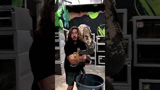 #snakes #snakebites #snakesofinstagram #snakehead #snakeskin #snaketattoo #snakesofig #snakelover