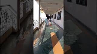 New Law College, Bharati Vidyapeeth, Pune | Law College | #bvp #minivlog
