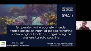 AWS 2023 URG: Marine Ecosystems under Tropicalisation in Western Australia by Oceane Attlan